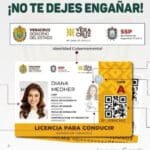 Verificar tu Licencia en Veracruz