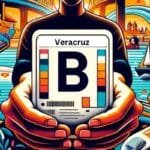 Licencia Tipo B en Veracruz