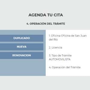 Licencia de conducir en San Juan del Río