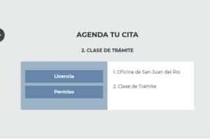 Licencia de conducir en San Juan del Río