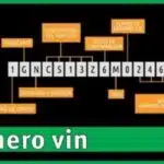 Qué es el número vin