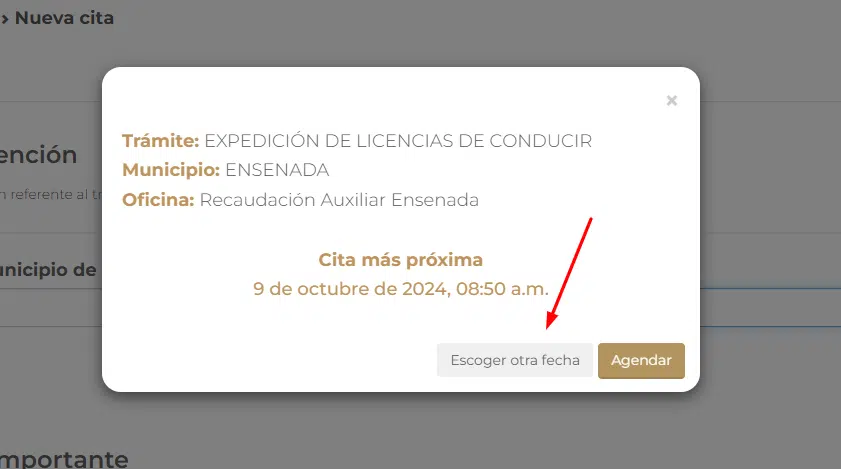 Licencias de conducir Mexicali